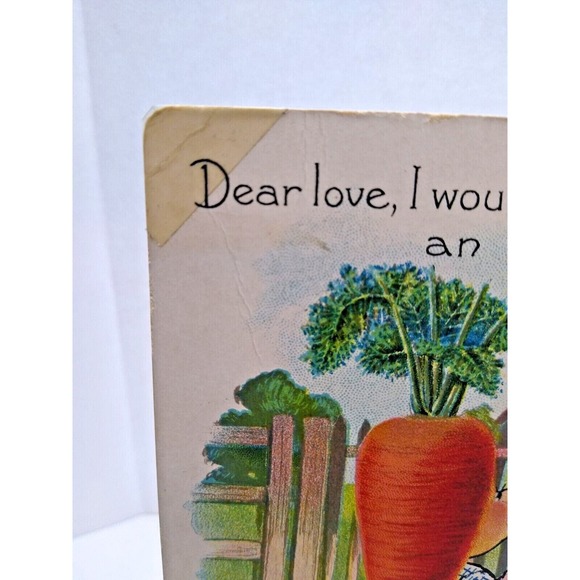 Fantasy Postcard Tuck E Curtis Carrot Head Anthropomorphic Garden Patch Series - Picture 3 of 4